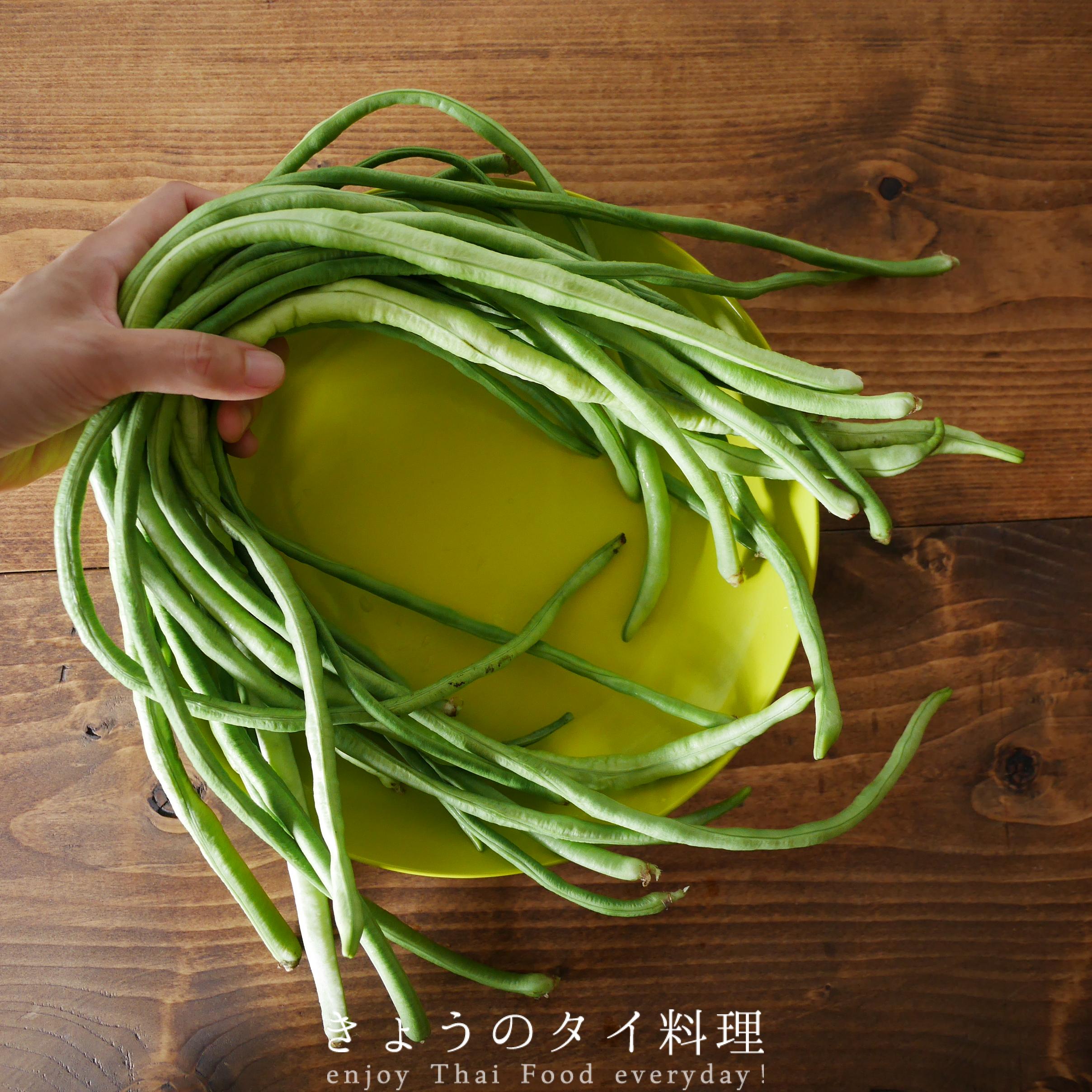 タイ野菜いろいろ家庭菜園。いつの間にか収穫されていたよ | きょうの